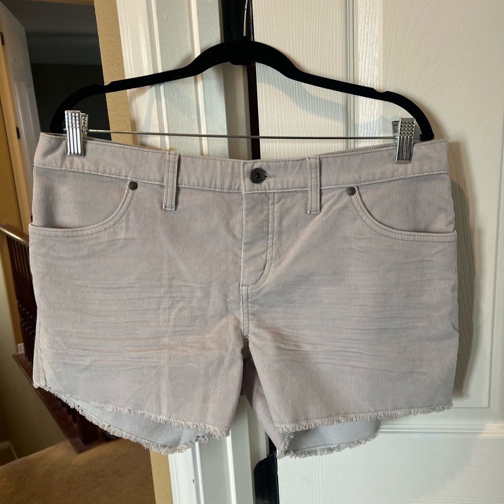 Carve Designs Light Gray Women Shorts